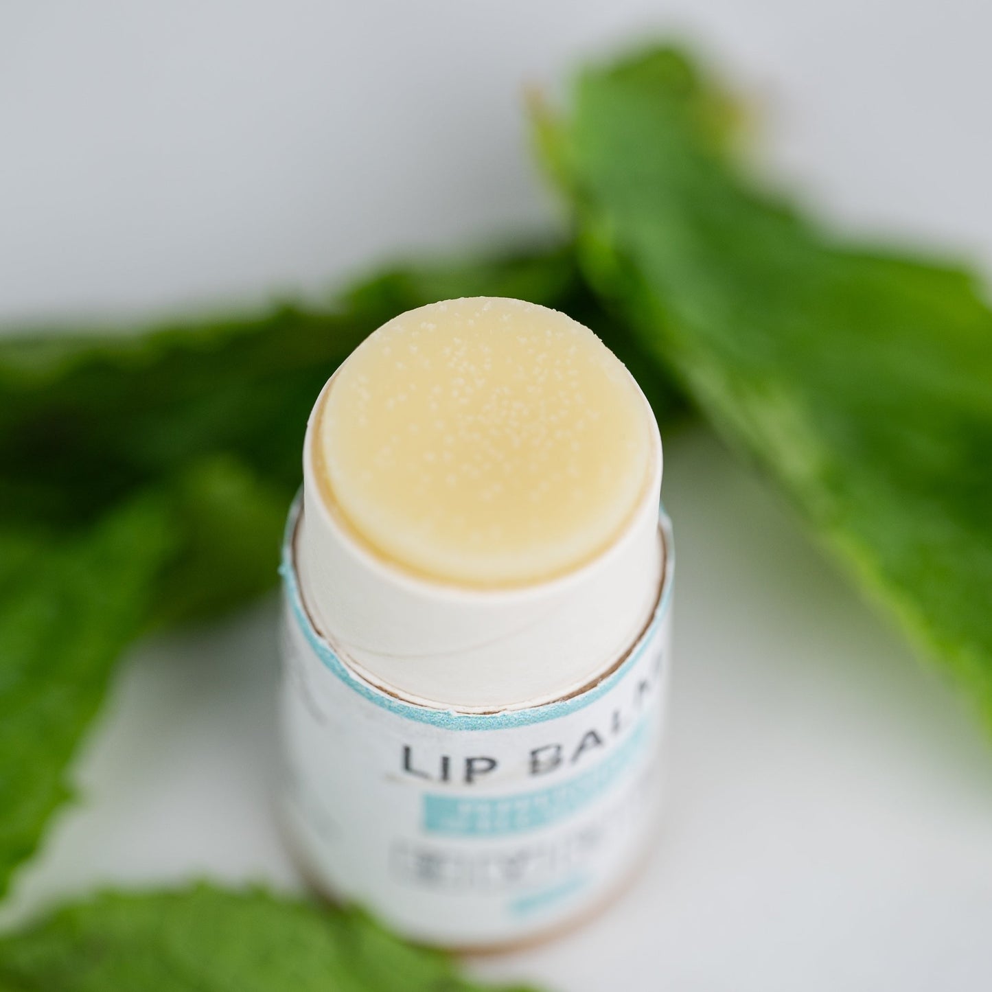 Lip Balm Bundle (5-Pack)